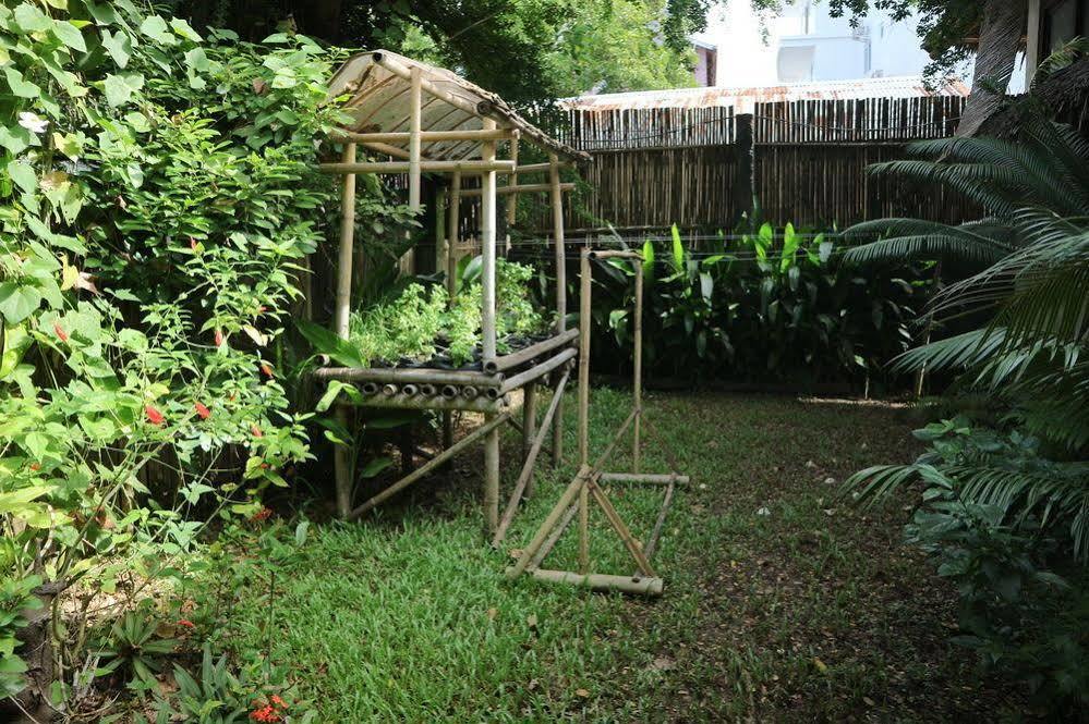 Blue Bayou Bungalows Balabag  المظهر الخارجي الصورة